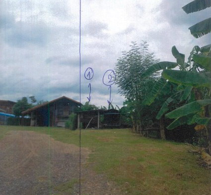 ขายทอดตลาด ที่ดินพร้อมสิ่งปลูกสร้าง ต.โพนครก อ.ท่าตูม จ.สุรินทร์