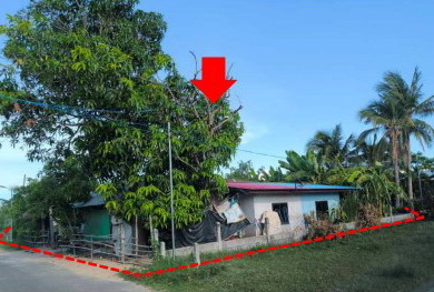 ขายทอดตลาด ที่ดินพร้อมสิ่งปลูกสร้าง ต.เมืองแก อ.ท่าตูม จ.สุรินทร์