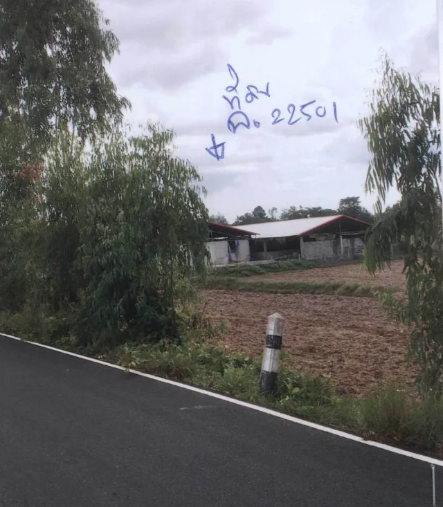 ขายทอดตลาด ที่ดินพร้อมสิ่งปลูกสร้าง ต.โพนโก อ.สนม จ.สุรินทร์