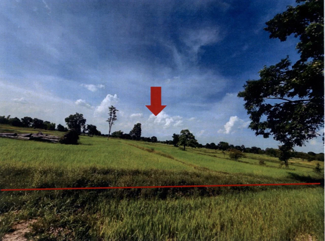 ขายทอดตลาด ที่ดินว่างเปล่า ต.นานวน อ.สนม จ.สุรินทร์