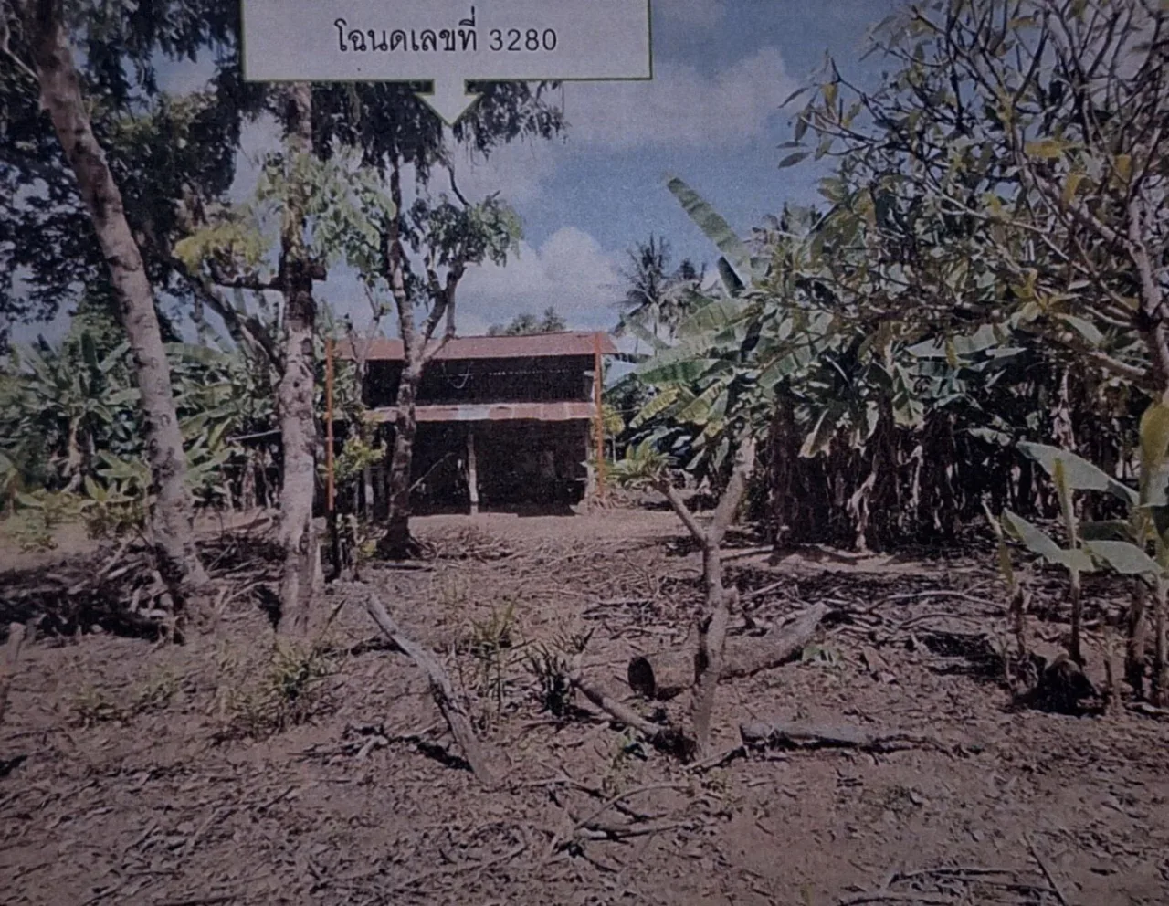 ขายทอดตลาด ที่ดินพร้อมสิ่งปลูกสร้าง ต.หนองระฆัง อ.สนม จ.สุรินทร์