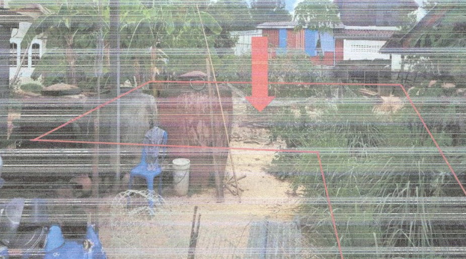 ขายทอดตลาด ที่ดินว่างเปล่า ต.โนนแดง อ.บ้านเขว้า จ.ชัยภูมิ