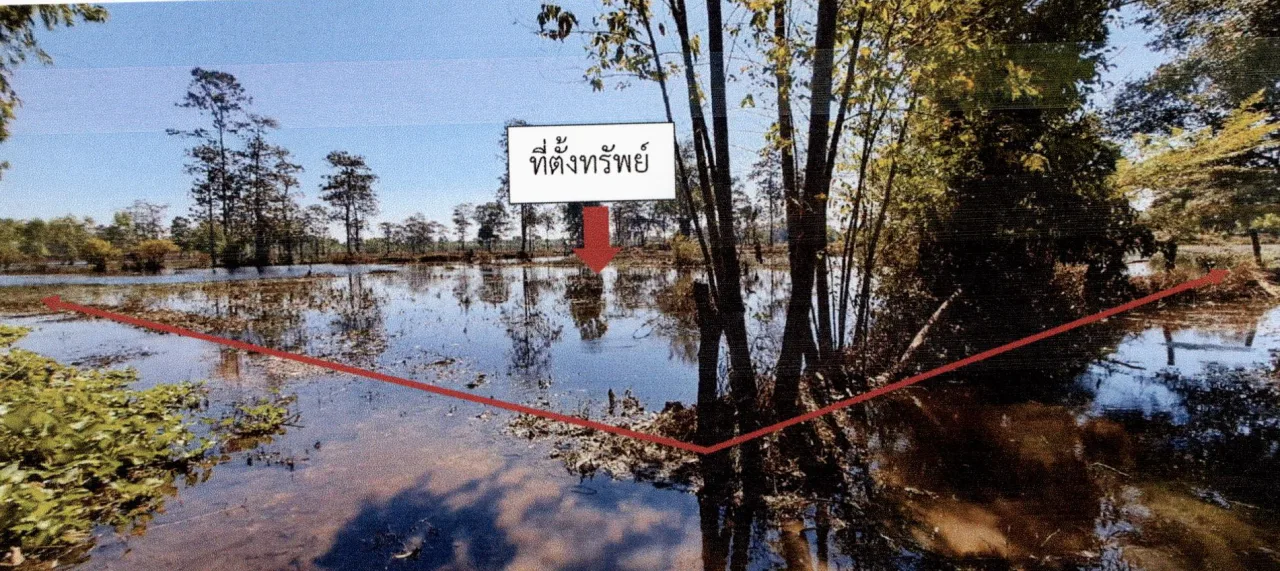 ขายทอดตลาด ที่ดินว่างเปล่า ต.ยางสว่าง อ.รัตนบุรี จ.สุรินทร์