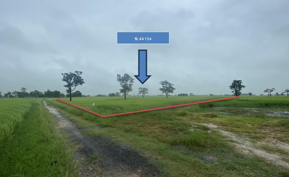 ขายทอดตลาด ที่ดินว่างเปล่า ต.ทับใหญ่ อ.รัตนบุรี จ.สุรินทร์