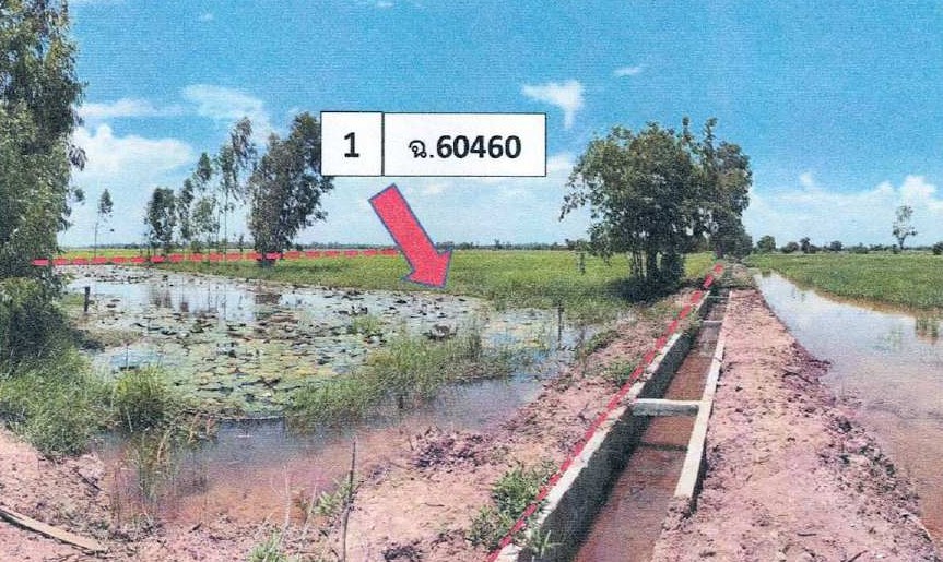 ขายทอดตลาด ที่ดินว่างเปล่า ต.ดอนแรด อ.รัตนบุรี จ.สุรินทร์