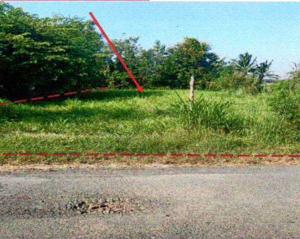 ขายทอดตลาด ที่ดินว่างเปล่า ต.หัวงัว อ.สนม จ.สุรินทร์