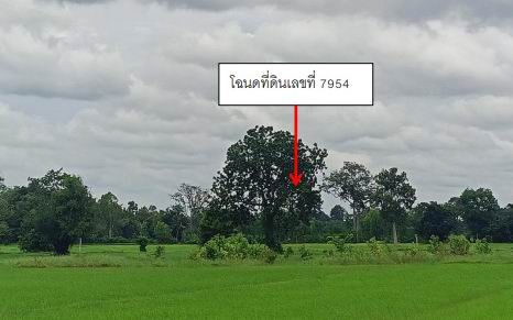 ขายทอดตลาด ที่ดินว่างเปล่า ต.ระเวียง อ.โนนนารายณ์ จ.สุรินทร์
