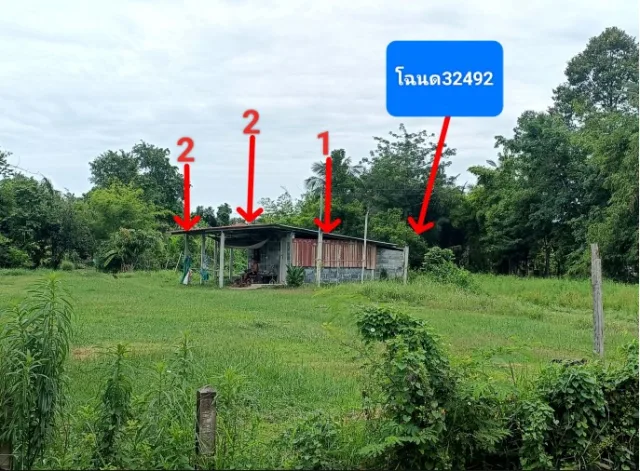 ขายทอดตลาด ที่ดินพร้อมสิ่งปลูกสร้าง ต.เกาะแก้ว อ.สำโรงทาบ จ.สุรินทร์