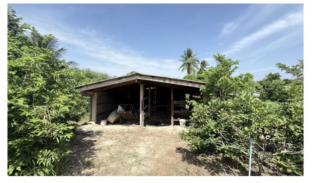 ขายทอดตลาด ที่ดินพร้อมสิ่งปลูกสร้าง ต.ท่าตูม อ.ท่าตูม จ.สุรินทร์