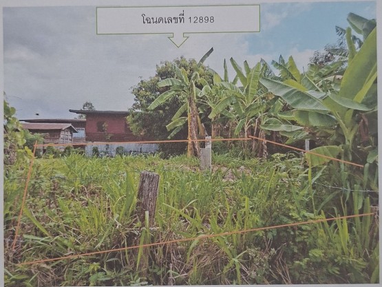 ขายทอดตลาด ที่ดินว่างเปล่า ต.หนองบัวทอง อ.รัตนบุรี จ.สุรินทร์