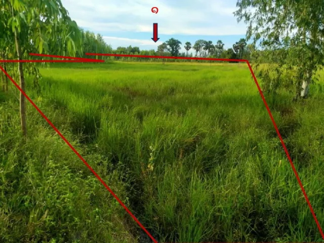 ขายทอดตลาด ที่ดินว่างเปล่า ต.หนองเมธี (บะ) อ.ท่าตูม จ.สุรินทร์