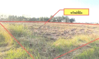 รูปทรัพย์ 1