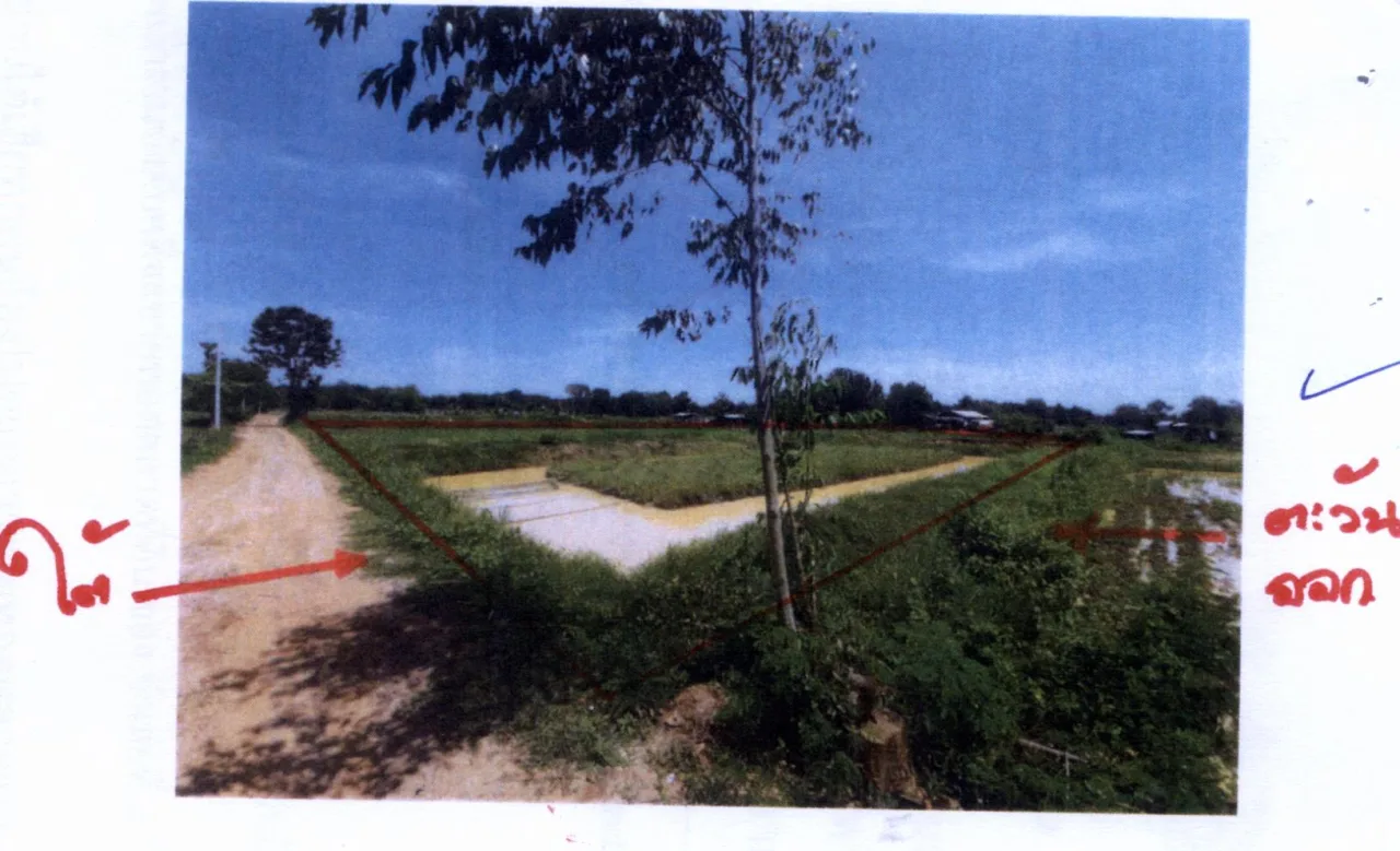 ขายทอดตลาด ที่ดินว่างเปล่า จ.อุดรธานี