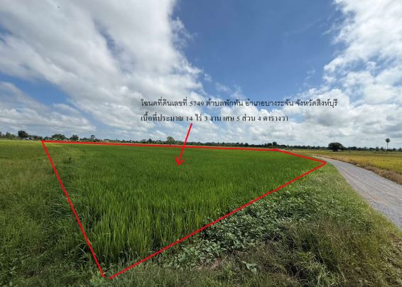ขายทอดตลาด ที่ดินว่างเปล่า จ.สิงห์บุรี