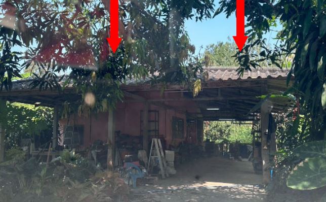 ขายทอดตลาด ที่ดินพร้อมสิ่งปลูกสร้าง ต.ม่วงหมู่ อ.เมืองสิงห์บุรี จ.สิงห์บุรี