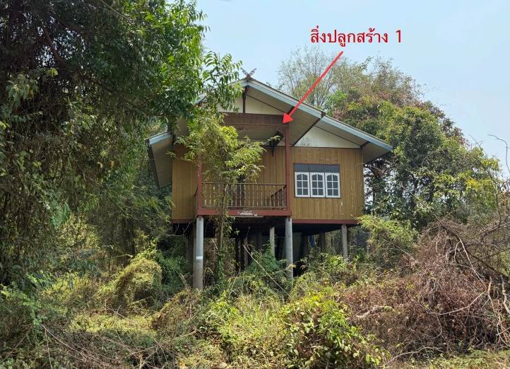 ขายทอดตลาด ที่ดินพร้อมสิ่งปลูกสร้าง ต.ชีน้ำร้าย อ.อินทร์บุรี จ.สิงห์บุรี