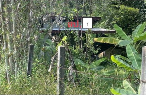 ขายทอดตลาด ที่ดินพร้อมสิ่งปลูกสร้าง ต.เพ็ญ อ.เพ็ญ จ.อุดรธานี