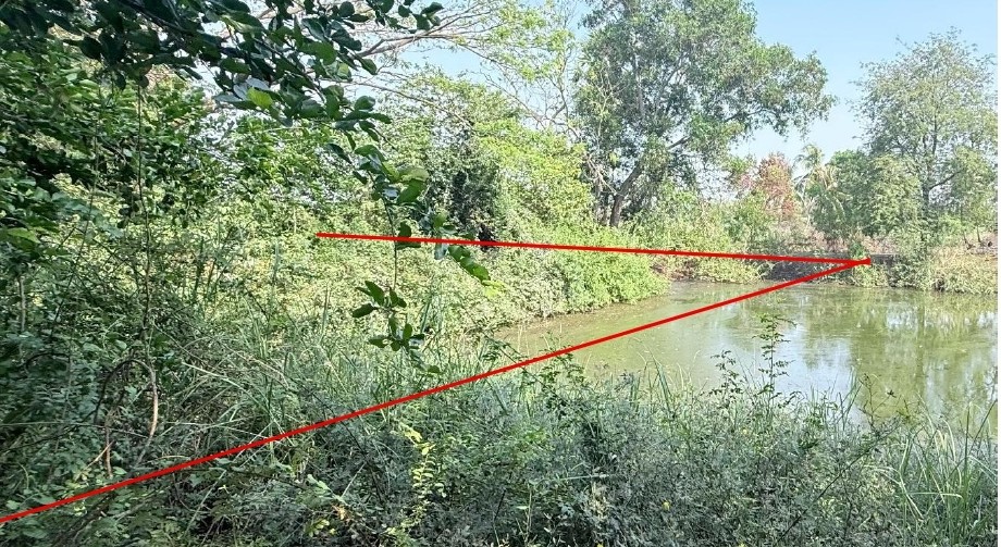 ขายทอดตลาด ที่ดินว่างเปล่า จ.ชัยภูมิ