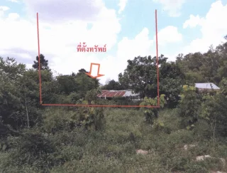 รูปทรัพย์ 2
