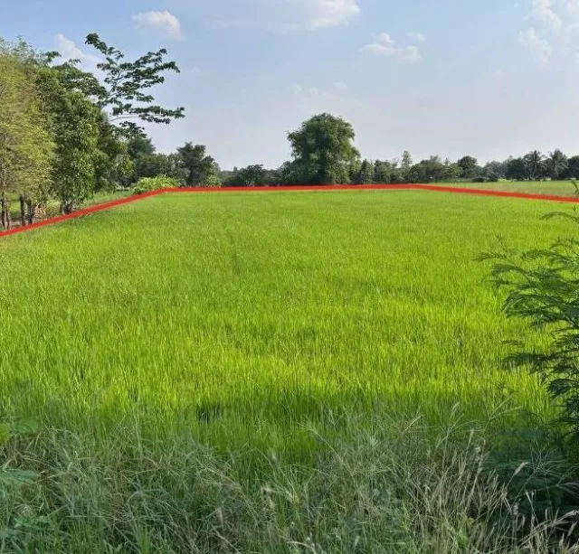 ขายทอดตลาด ที่ดินว่างเปล่า จ.นครราชสีมา