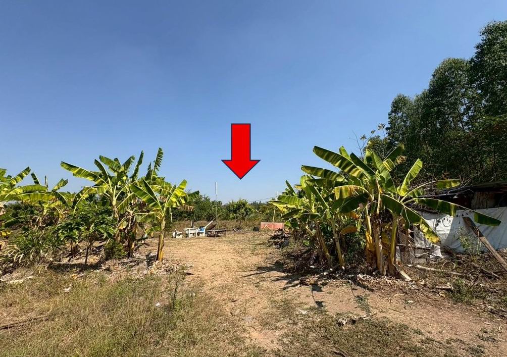 ขายทอดตลาด ที่ดินว่างเปล่า จ.ขอนแก่น