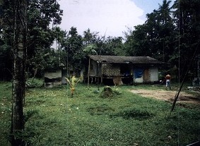 ขายทอดตลาด ที่ดินพร้อมสิ่งปลูกสร้าง ต.บางขุนทอง อ.ตากใบ จ.นราธิวาส