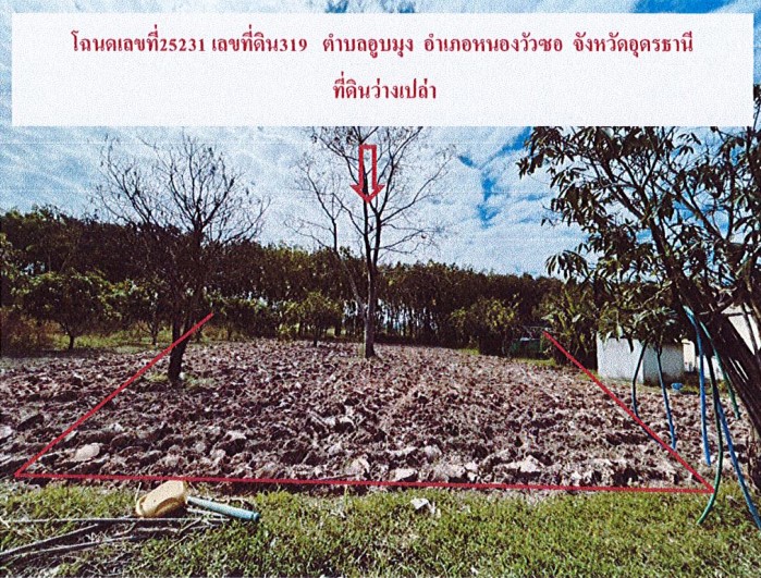 ขายทอดตลาด ที่ดินว่างเปล่า จ.อุดรธานี