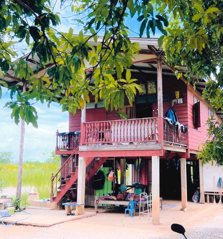 ขายทอดตลาด ที่ดินพร้อมสิ่งปลูกสร้าง ต.เกาะตาเลี้ยง อ.ศรีสำโรง จ.สุโขทัย