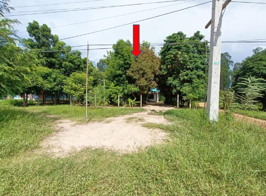 ขายทอดตลาด ที่ดินพร้อมสิ่งปลูกสร้าง ต.นาเชิงคีรี อ.คีรีมาศ จ.สุโขทัย