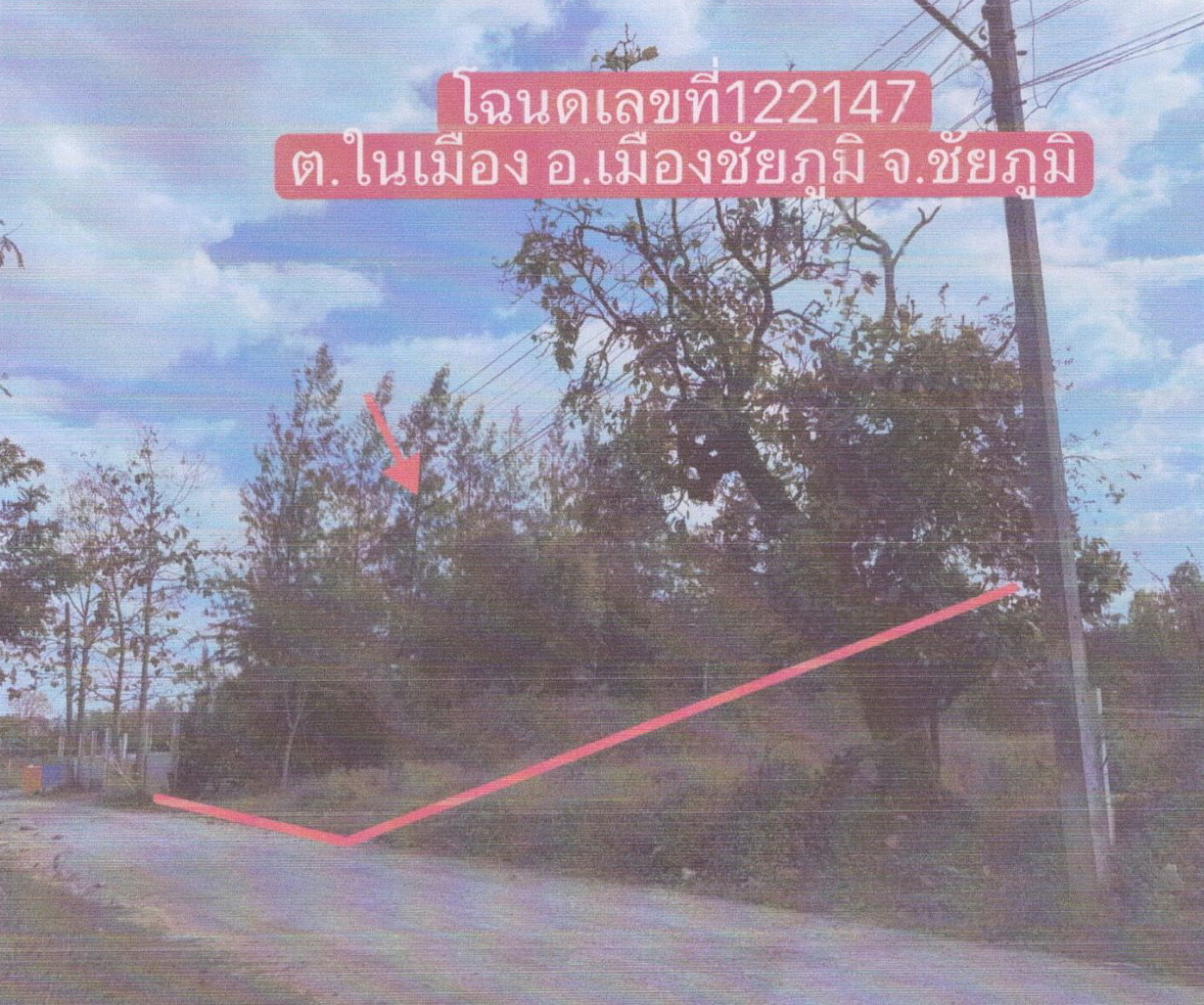 ขายทอดตลาด ที่ดินว่างเปล่า จ.ชัยภูมิ