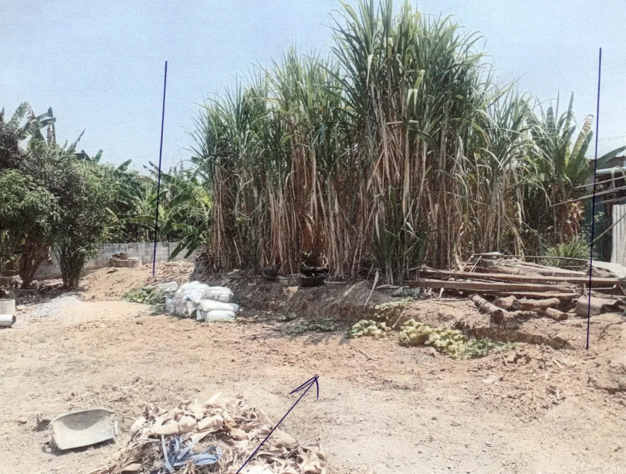ขายทอดตลาด ที่ดินว่างเปล่า ต.สามเรือน อ.ศรีสำโรง จ.สุโขทัย