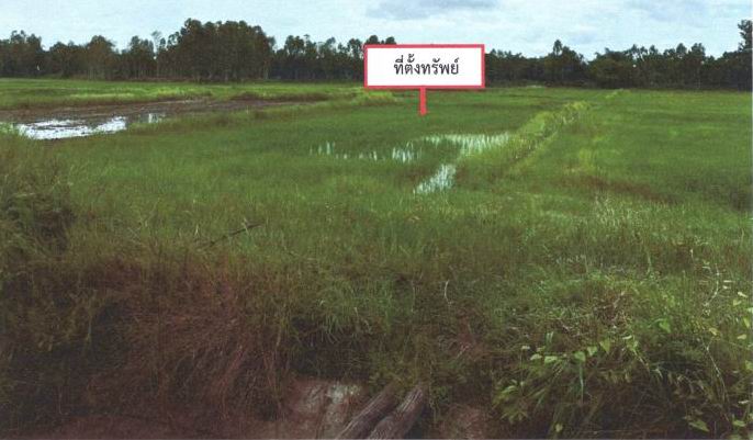 ขายทอดตลาด ที่ดินว่างเปล่า จ.อุดรธานี