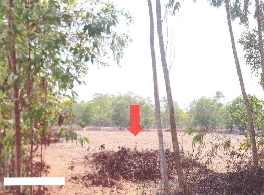ขายทอดตลาด ที่ดินว่างเปล่า จ.อุดรธานี