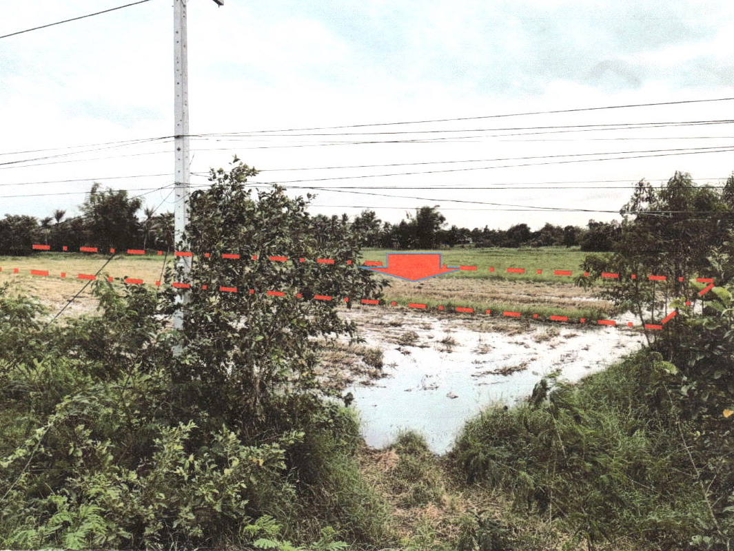 ขายทอดตลาด ที่ดินว่างเปล่า จ.ชัยภูมิ