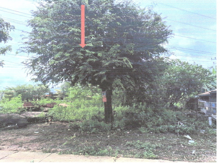 ขายทอดตลาด ที่ดินว่างเปล่า จ.ชัยภูมิ