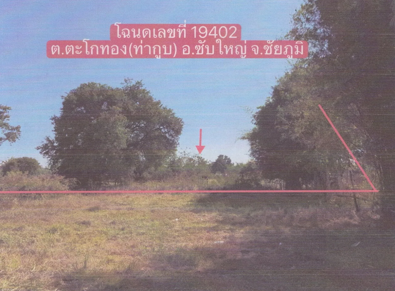 ขายทอดตลาด ที่ดินว่างเปล่า จ.ชัยภูมิ