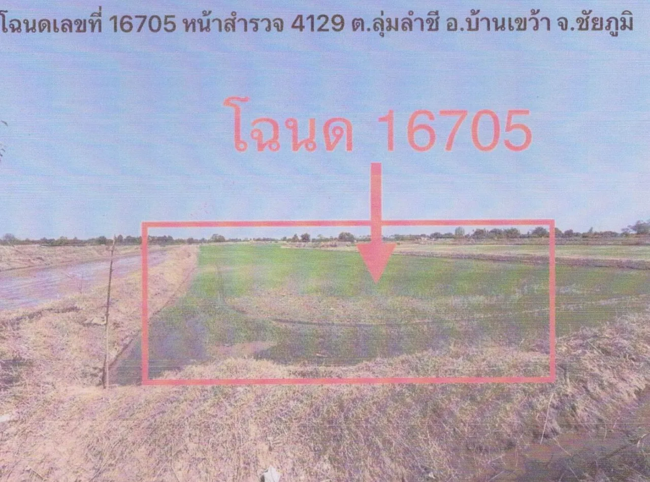ขายทอดตลาด ที่ดินว่างเปล่า จ.ชัยภูมิ
