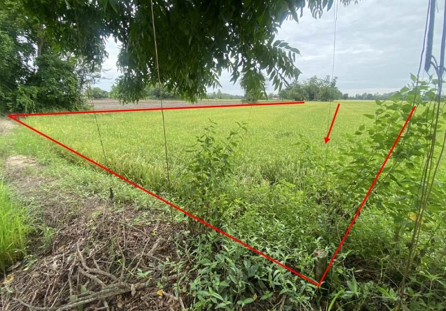 ขายทอดตลาด ที่ดินว่างเปล่า จ.สุโขทัย
