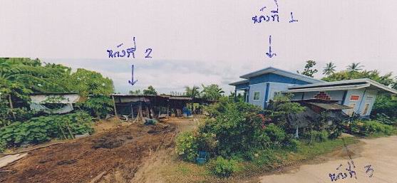 ขายทอดตลาด ที่ดินพร้อมสิ่งปลูกสร้าง ต.สามพวง อ.คีรีมาศ จ.สุโขทัย