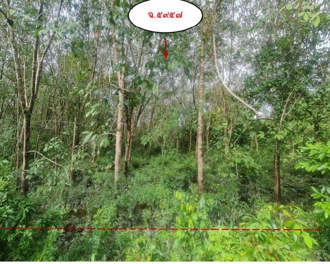 ขายทอดตลาด ที่ดินว่างเปล่า จ.นราธิวาส