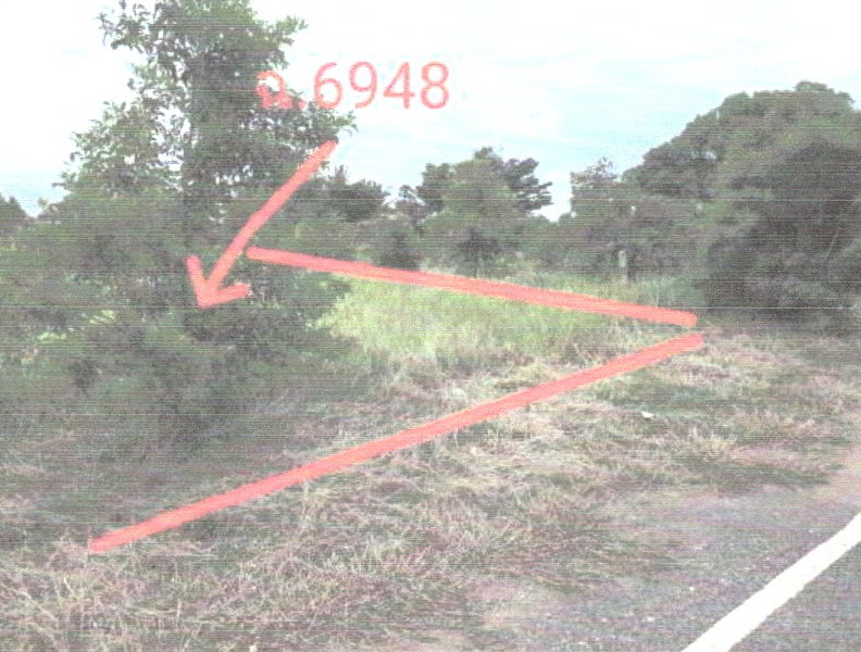 ขายทอดตลาด ที่ดินว่างเปล่า จ.ชัยภูมิ