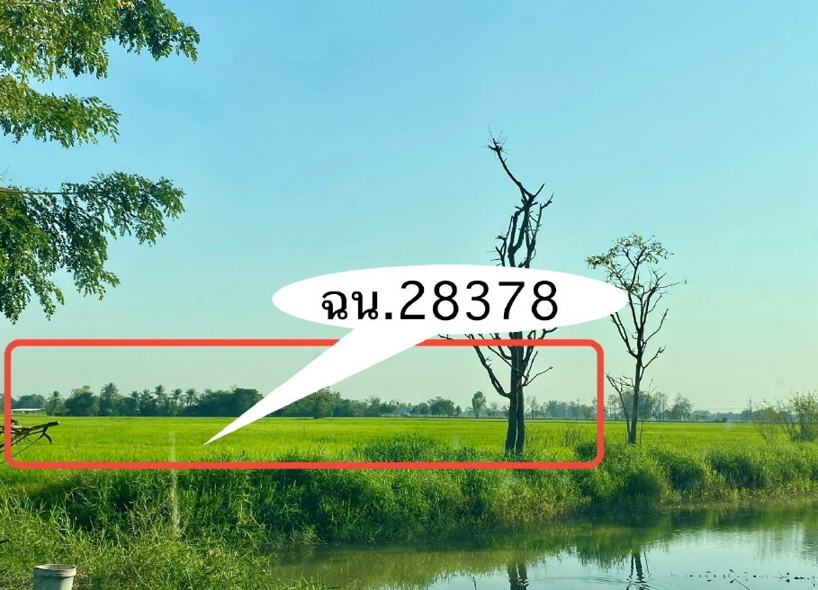 ขายทอดตลาด ที่ดินว่างเปล่า จ.สุโขทัย