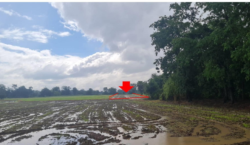 ขายทอดตลาด ที่ดินว่างเปล่า จ.สุโขทัย