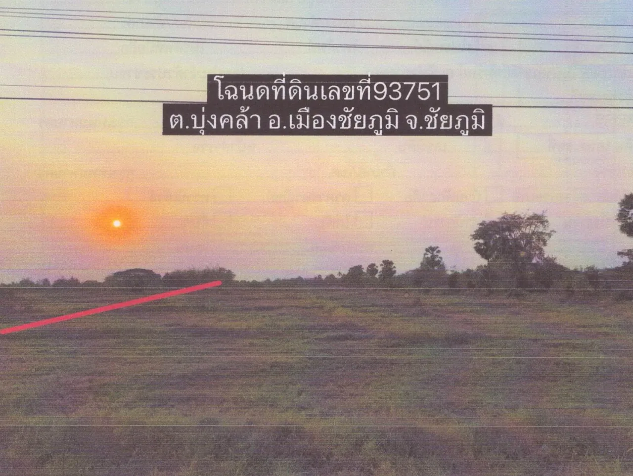 ขายทอดตลาด ที่ดินว่างเปล่า จ.ชัยภูมิ