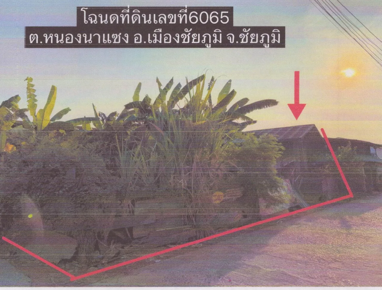 ขายทอดตลาด ที่ดินพร้อมสิ่งปลูกสร้าง ต.หนองนาแซง อ.เมืองชัยภูมิ จ.ชัยภูมิ