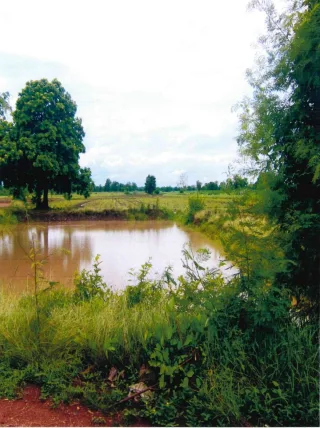 รูปทรัพย์ 2