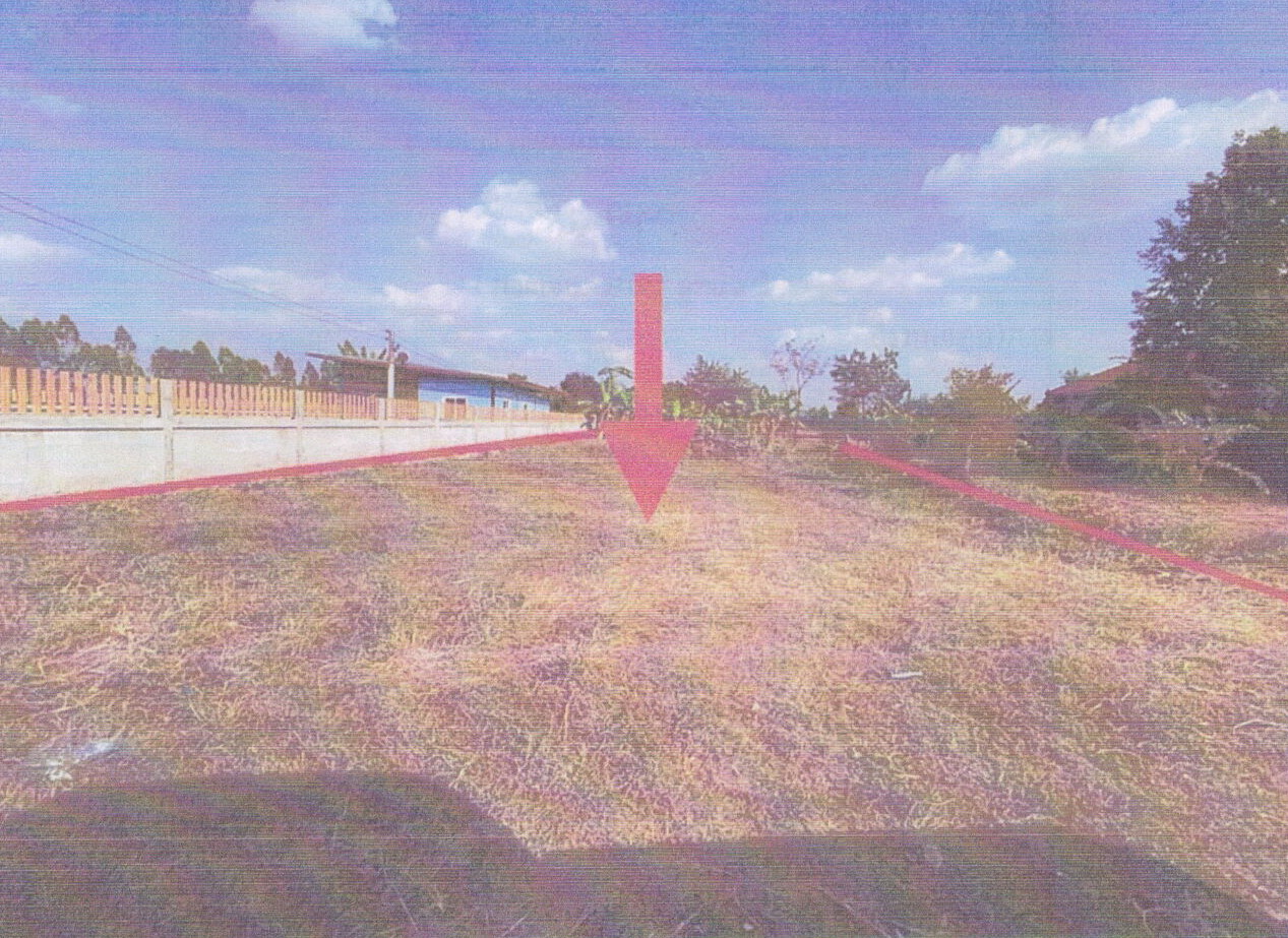 ขายทอดตลาด ที่ดินว่างเปล่า จ.ชัยภูมิ