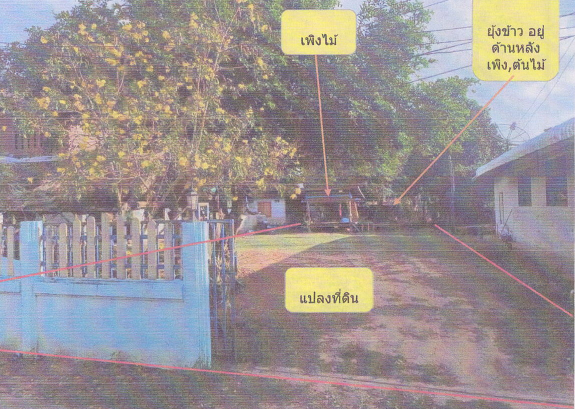 ขายทอดตลาด ที่ดินพร้อมสิ่งปลูกสร้าง ต.ห้วยไร่ อ.คอนสวรรค์ จ.ชัยภูมิ