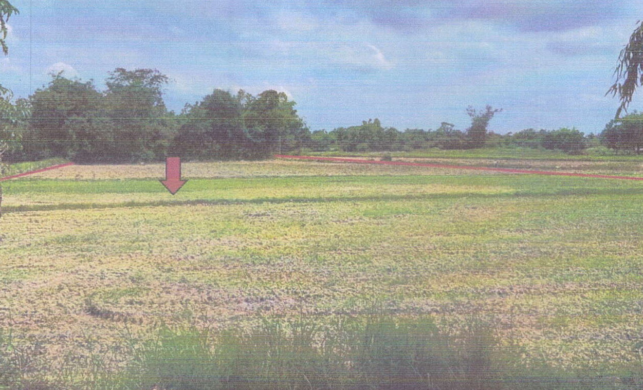 ขายทอดตลาด ที่ดินว่างเปล่า จ.ชัยภูมิ