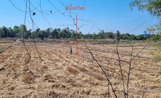 ขายทอดตลาด ที่ดินว่างเปล่า จ.อุดรธานี